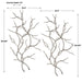 Uttermost - Silver Branches Wall Art S/2 - 04053 - GreatFurnitureDeal