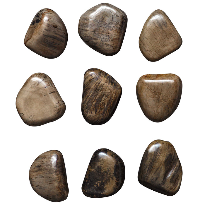 Uttermost - Pebbles Walnut Wood Wall Décor, S/9 - 04323