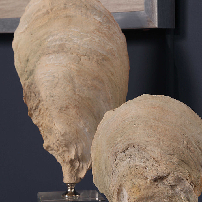Uttermost - Oyster Shell Sculptures, S/2 - 17523 - GreatFurnitureDeal