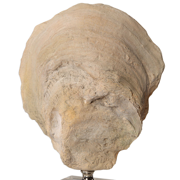 Uttermost - Oyster Shell Sculptures, S/2 - 17523 - GreatFurnitureDeal
