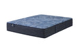 Serta Mattress - Perfect Sleeper Euphoric Night 14" Hybrid Firm Queen Mattress Set - PSL 23 EUPHORIC NIGHTS 14IN PL - QUEEN-MATTRESS-SET - GreatFurnitureDeal