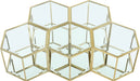 Meridian Furniture - Sei Gold Glass And Steel 5pc. Coffee Table - 205-CT-5PC - GreatFurnitureDeal