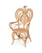 Jamie Young Company - Hibiscus Arm Chair in Natural - 20HIBI-CHNA - GreatFurnitureDeal