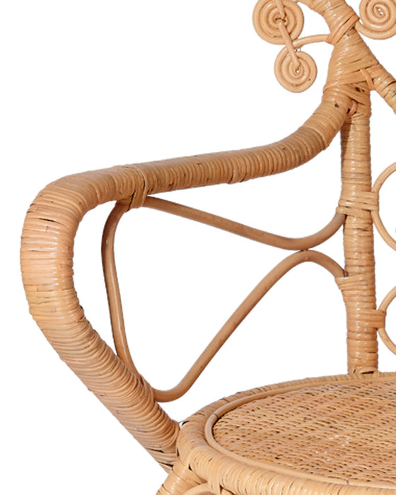 Jamie Young Company - Hibiscus Arm Chair in Natural - 20HIBI-CHNA - GreatFurnitureDeal