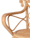 Jamie Young Company - Hibiscus Arm Chair in Natural - 20HIBI-CHNA - GreatFurnitureDeal