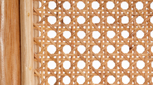 Jamie Young Company - Orchid Lounge Chair in Natural - 20ORCH-CHNA - GreatFurnitureDeal