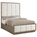 Coaster Furniture - Durango 4-piece Queen Bedroom Set Taupe Oak - 223271Q-S4 - GreatFurnitureDeal