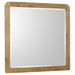 Coaster Furniture - Robyn Dresser and Mirror Light Ash - 225093M - GreatFurnitureDeal