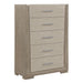 Homelegance - Aeon Chest in Light Gray - 2496-9 - GreatFurnitureDeal