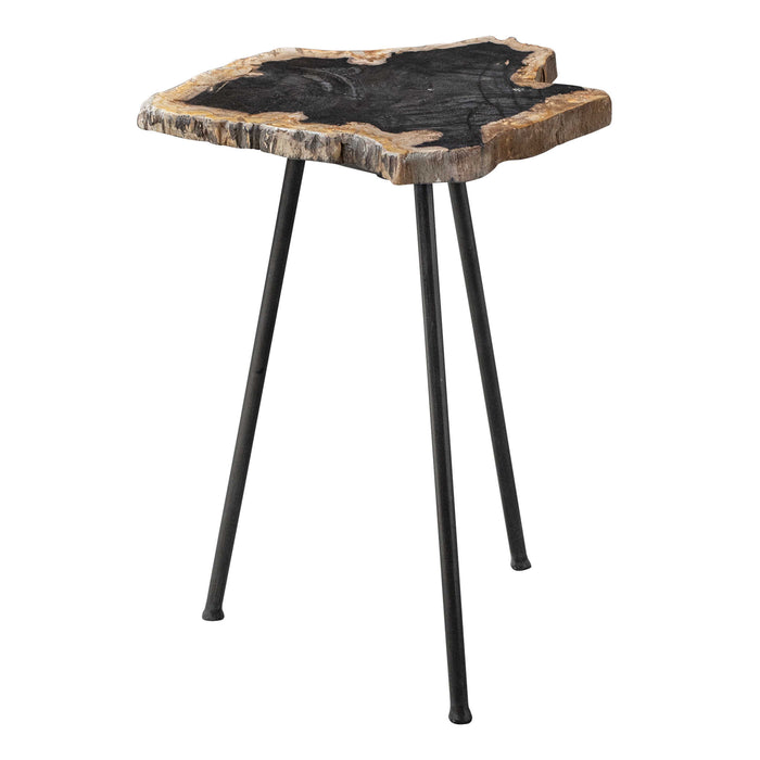 Uttermost - Mircea Petrified Wood Accent Table - 25461 - GreatFurnitureDeal