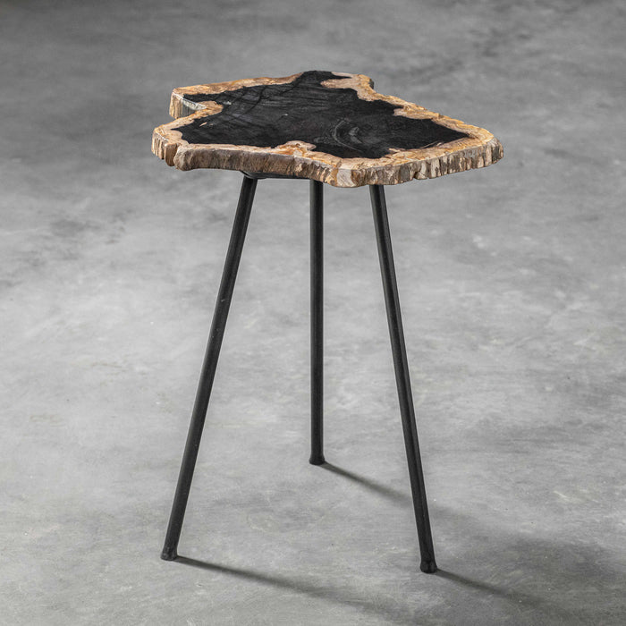 Uttermost - Mircea Petrified Wood Accent Table - 25461