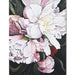 Bramble - Pink Peony on Canvas 30 x 40 w/o Frame - 28849------ - GreatFurnitureDeal