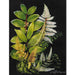 Bramble - Fern Forest on Canvas 30 x 40 w/o Frame - 28862------ - GreatFurnitureDeal