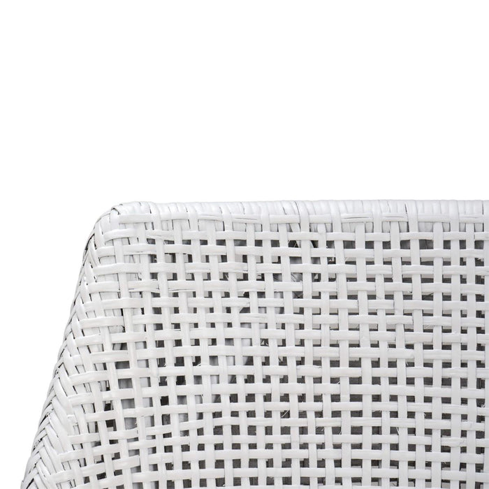 Bramble - Savanah Dining Chair in True White Rattan & Legs w/ Arctic White Seat Cushion (Set of 2) - 28235TRWSF204----