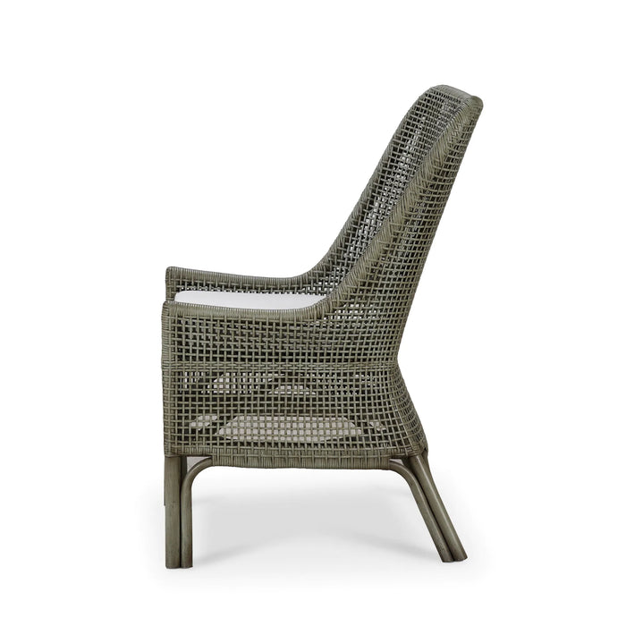 Bramble - Cristo Rattan Dining Chair w/ Seat Cushion (Set of 2) - BR-28236 - GreatFurnitureDeal