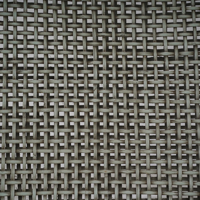 Bramble - Cristo Rattan Dining Chair w/ Seat Cushion (Set of 2) - BR-28236 - GreatFurnitureDeal