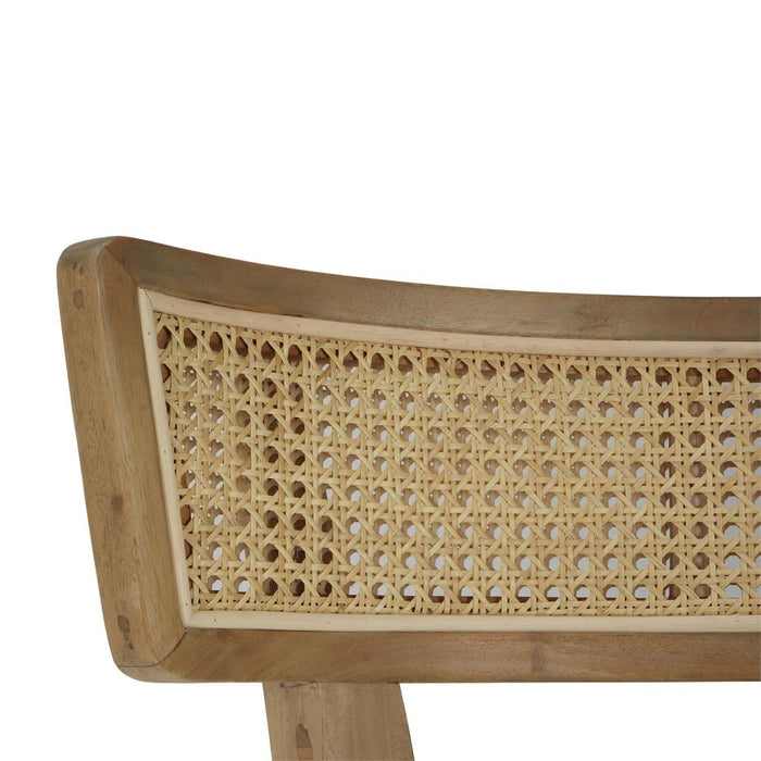 Bramble - Beatrice Dining Chair in Fruitwood w/ Arctic White Performance Fabric & Rattan Natural on Back (Set of 2) - 28547FRWSF204RNAT---