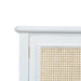 Bramble - Palmetto Sideboard - BR-29135 - GreatFurnitureDeal