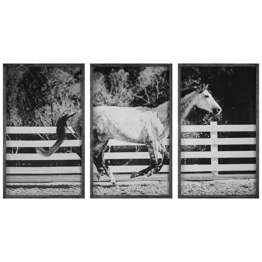 Uttermost - Galloping Forward Equine Prints, Set/3 - 32279 - GreatFurnitureDeal