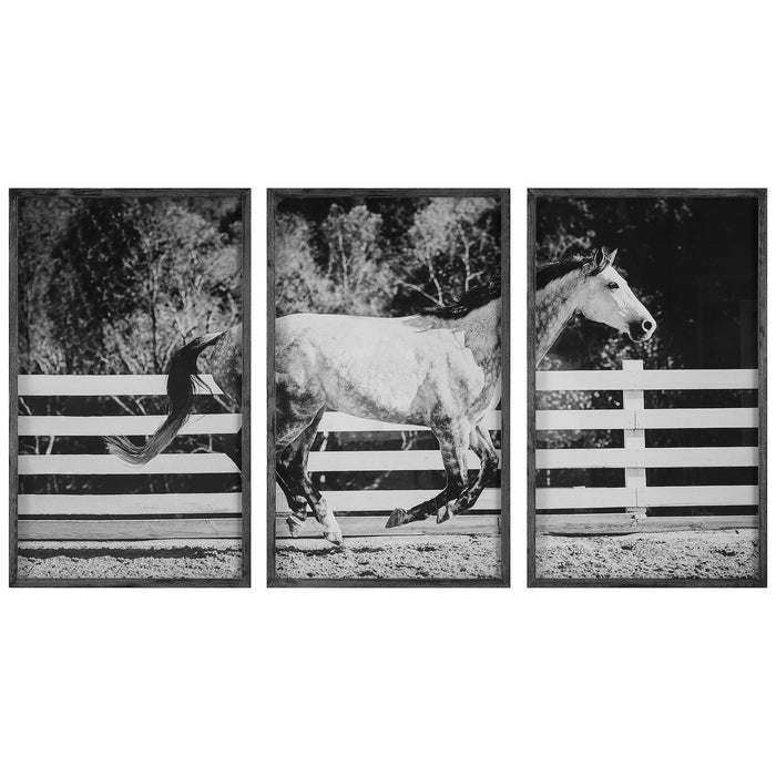 Uttermost - Galloping Forward Equine Prints, Set/3 - 32279 - GreatFurnitureDeal