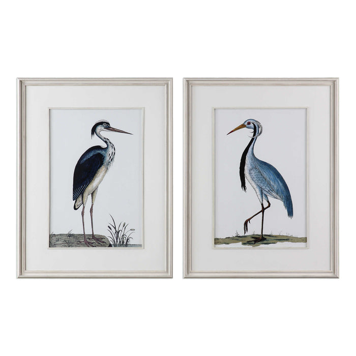 Uttermost - Shore Birds Framed Prints S/2 - 33668 - GreatFurnitureDeal