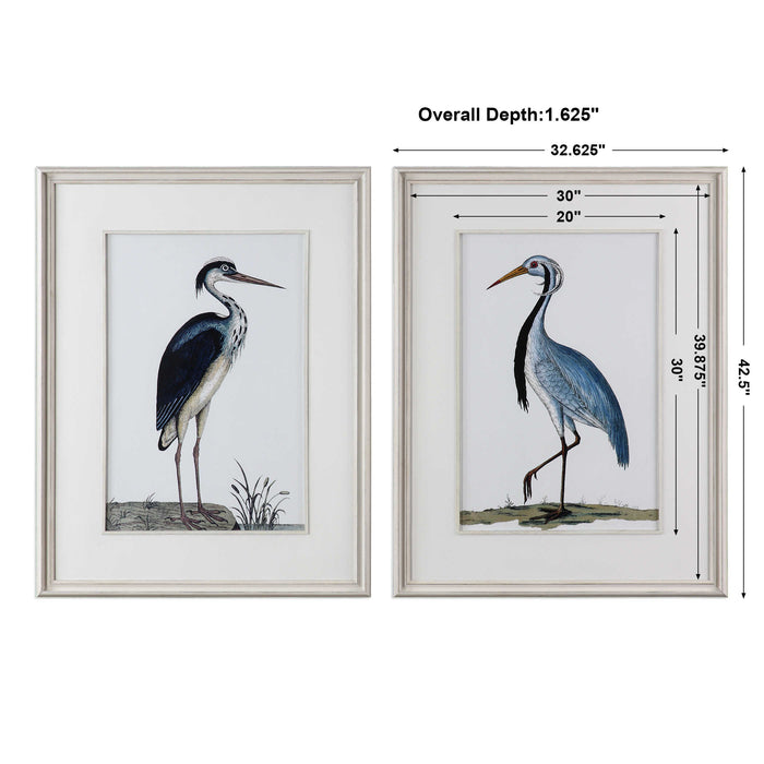 Uttermost - Shore Birds Framed Prints S/2 - 33668 - GreatFurnitureDeal