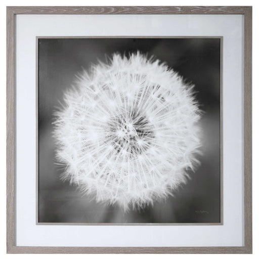 Uttermost - Dandelion Seedhead Framed Print - 33711 - GreatFurnitureDeal