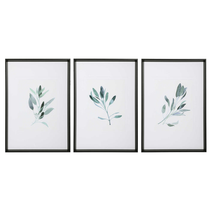 Uttermost - Simple Sage Watercolor Prints, S/3 - 33723
