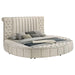 Coaster Furniture - Sonya Upholstered Queen Round Storage Bed Ivory - 360111Q - GreatFurnitureDeal