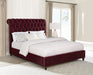 Coaster Furniture - Devon 5-Piece King Bedroom Set Wine Red and Dark Oak - 360341KE-S5 - GreatFurnitureDeal