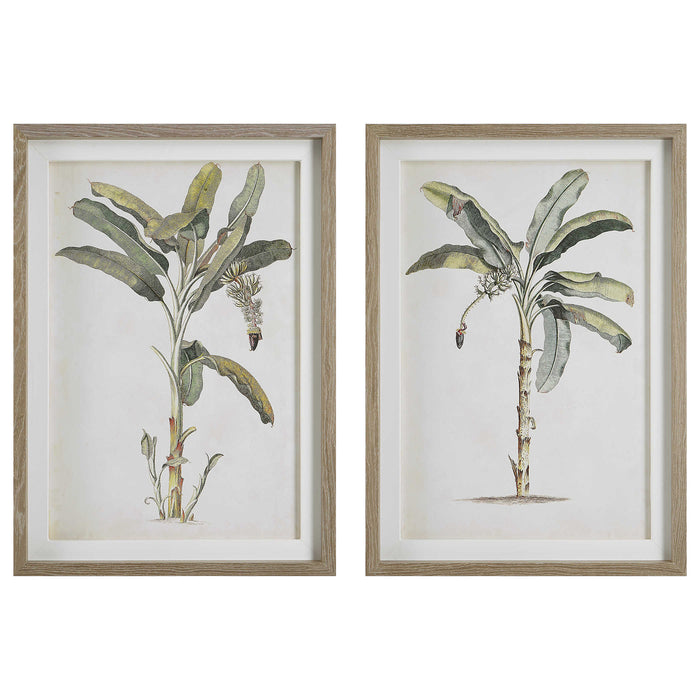 Uttermost - Banana Palm Framed Prints, Set/2 - 41446 - GreatFurnitureDeal