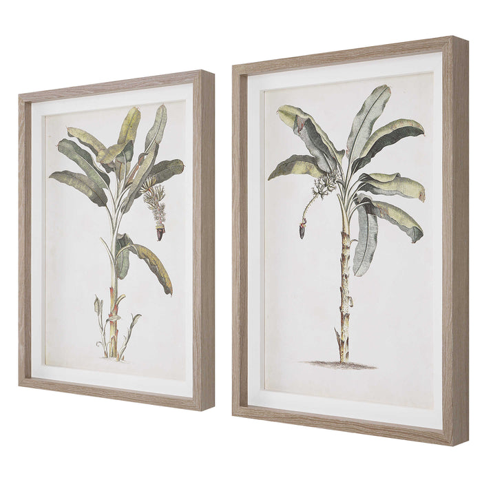 Uttermost - Banana Palm Framed Prints, Set/2 - 41446 - GreatFurnitureDeal