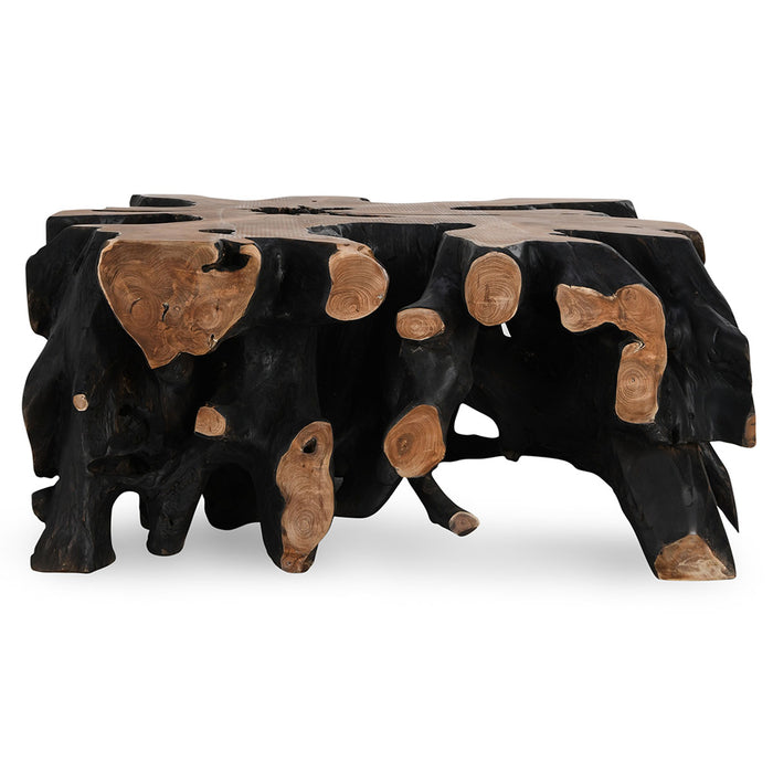Classic Home Furniture - Cypress Root 40" Square Coffee Table in Black/Natural - 51005354