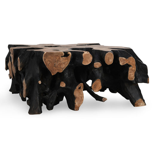 Classic Home Furniture - Cypress Root 40" Square Coffee Table in Black/Natural - 51005354 - GreatFurnitureDeal