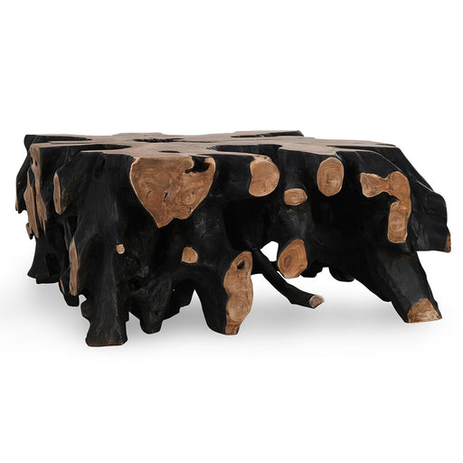 Classic Home - Cypress Root 40" Square Coffee Table in Black/Natural - 51005354 - GreatFurnitureDeal