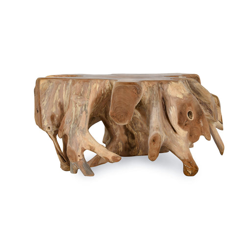 Classic Home - Cypress Root Coffee Table in Natural - 51005386 - GreatFurnitureDeal