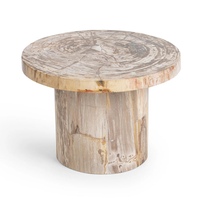 Classic Home - Janelle Accent Table in Sepia Vein - 51020030