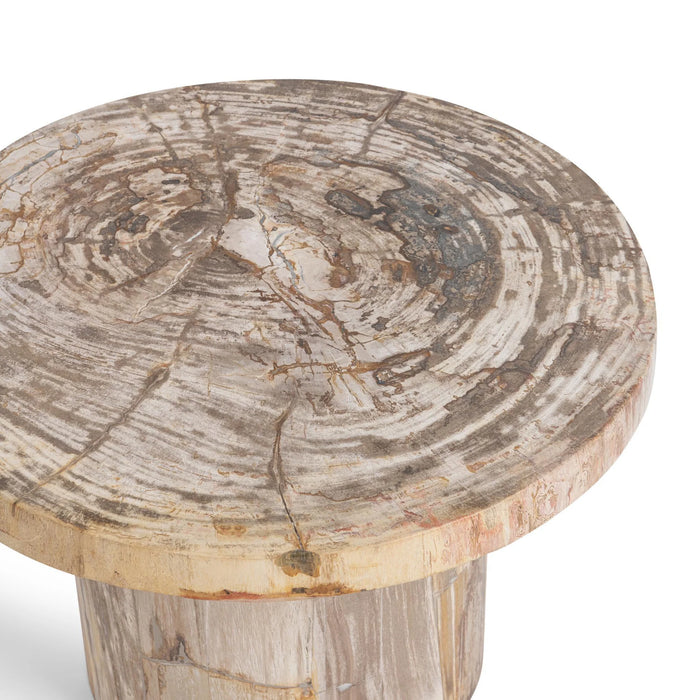 Classic Home - Janelle Accent Table in Sepia Vein - 51020030