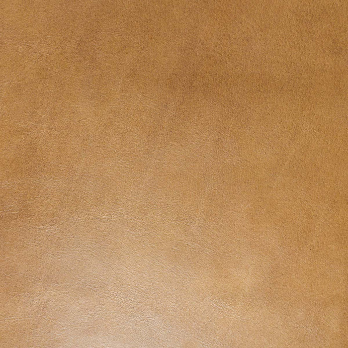 Classic Home - Fonda Dining Chair in Tan - 53004675 - GreatFurnitureDeal