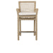 Classic Home - Brisbane Counter Stool Natural (Set of 2) - 53051443 - GreatFurnitureDeal