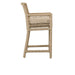 Classic Home - Brisbane Counter Stool Natural (Set of 2) - 53051443 - GreatFurnitureDeal