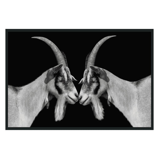 Classic Home - Goat Photography 48x72 - 560077854872TBS - GreatFurnitureDeal