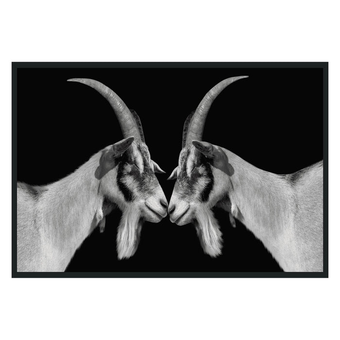 Classic Home - Goat Photography 48x72 - 560077854872TBS - GreatFurnitureDeal