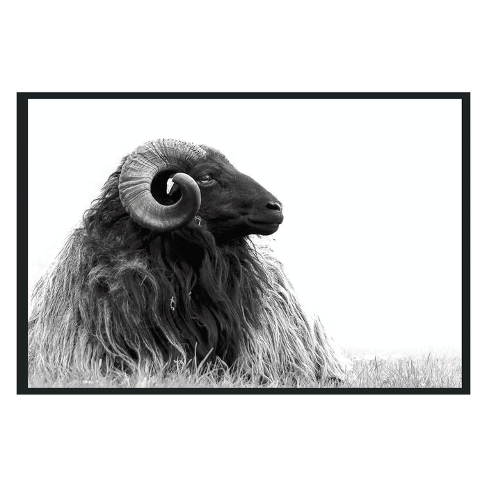 Classic Home - Horn Photography 48x72 - 560077954848TBS - GreatFurnitureDeal