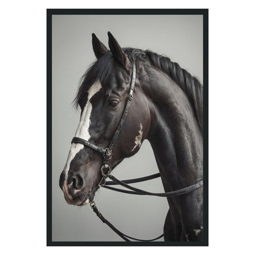 Classic Home - Horse Photography 48x72 - 560077963636TBS - GreatFurnitureDeal