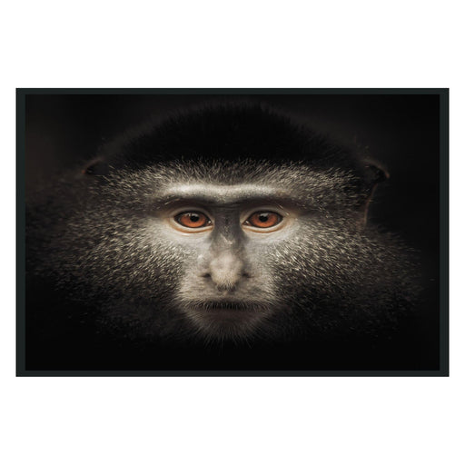 Classic Home - Monkey Photography 48x72 - 560077994872TBS - GreatFurnitureDeal