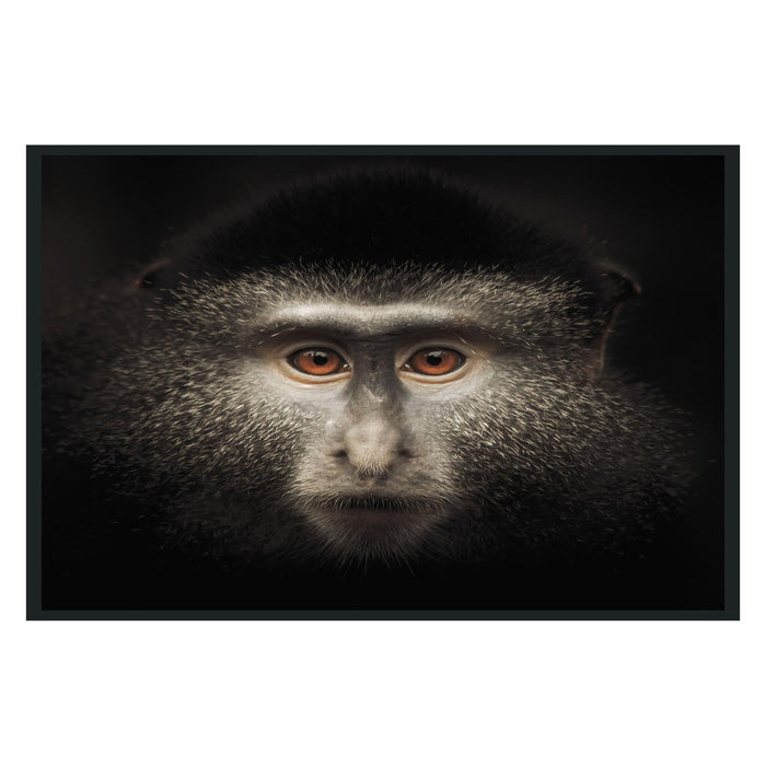 Classic Home - Monkey Photography 48x72 - 560077994872TBS - GreatFurnitureDeal