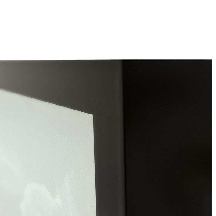 Classic Home - Pedal Painting 48x72 by Buddy Whitlock - 560078023636TBS - GreatFurnitureDeal