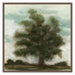 Classic Home - Tree Painting 36x36 by Buddy Whitlock - 560078023636TWS - GreatFurnitureDeal