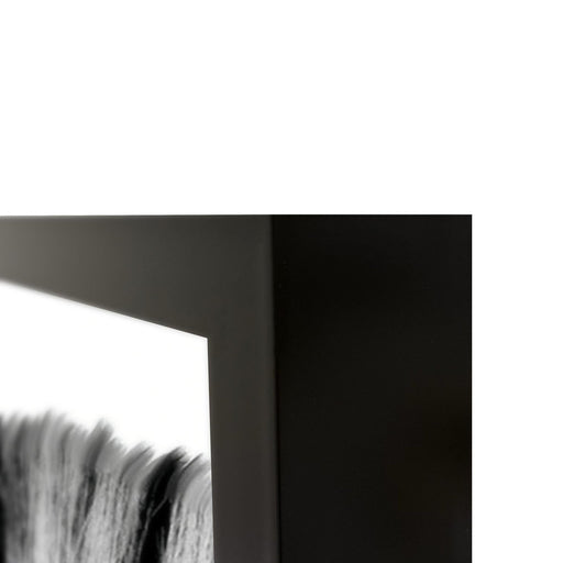 Classic Home - Zebras Photography 48x72 - 560078104872TBS - GreatFurnitureDeal